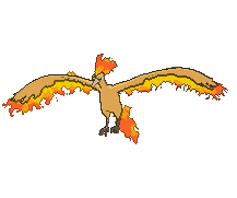 animated Moltres gif